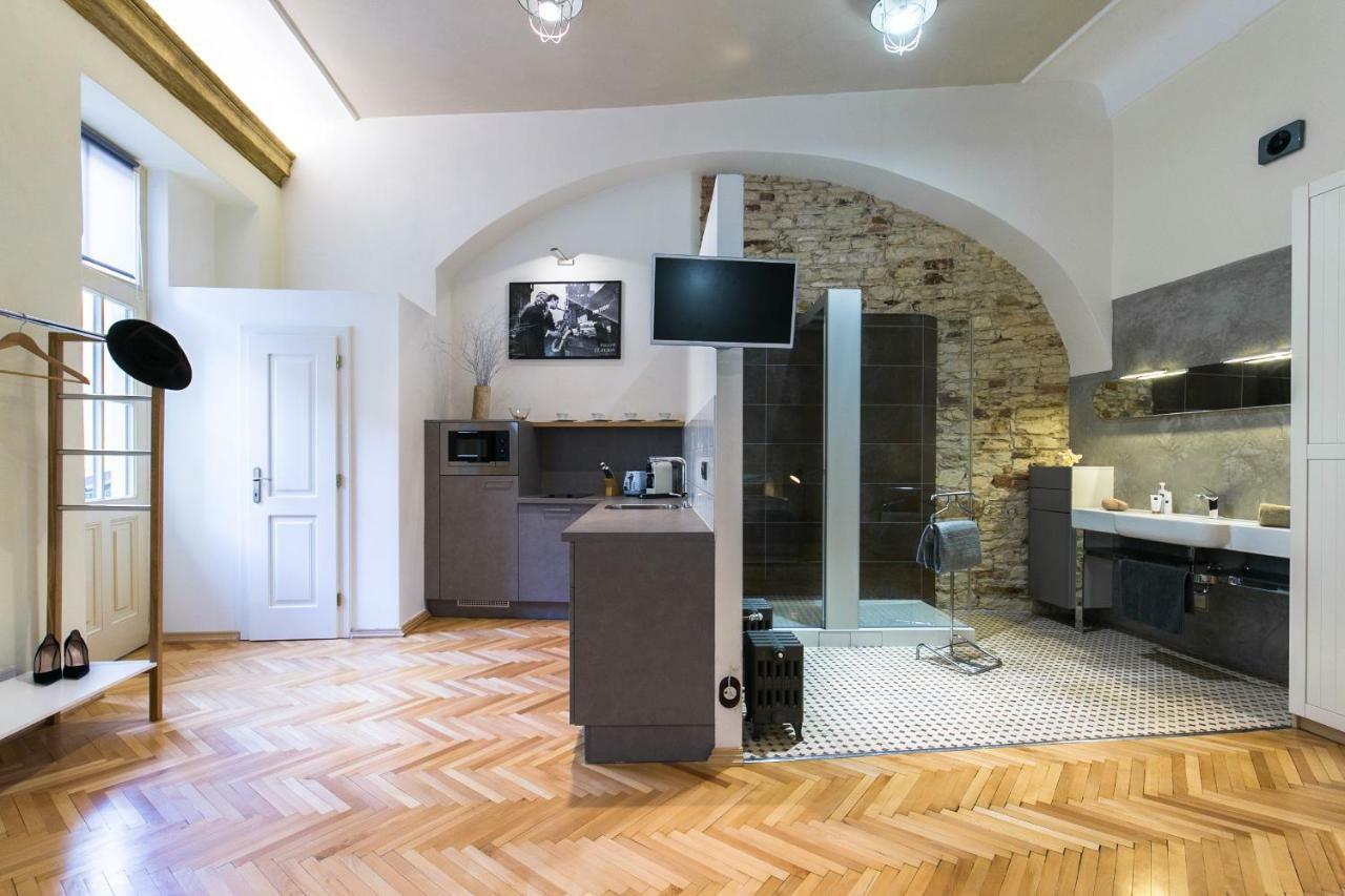Nebovidy I - Historic Centre - Terrace - Air Conditioning Praga
